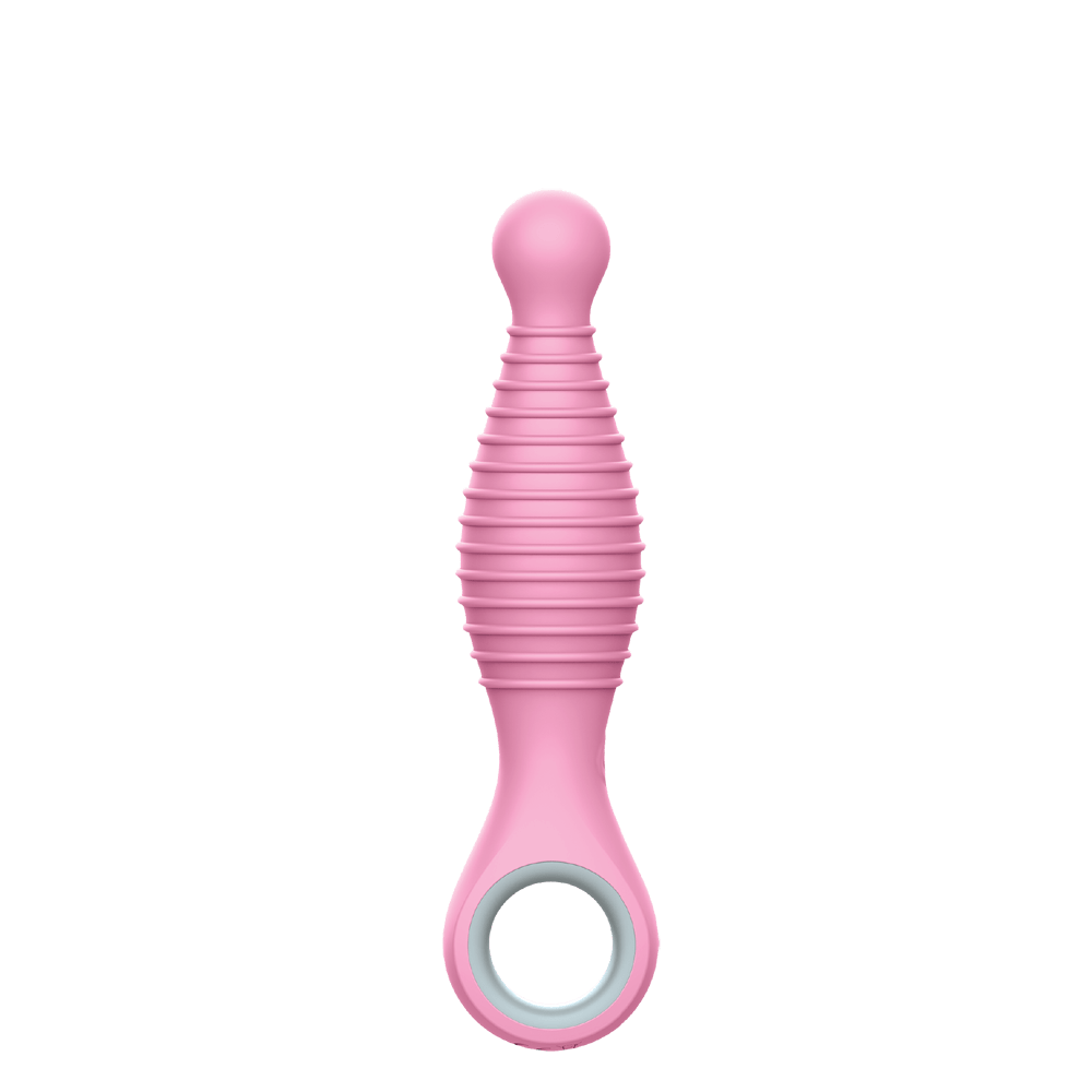 Sweet Stash - Sweet Cheeks Vibe - Anal Vibrator