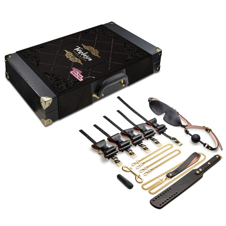 Temptasia Safe Word Bondage Kit with Case for beginner BDSM consent play