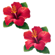 Tropical Vibrant Red Hawaiian Hibiscus Botanical Flower Breast Pasties