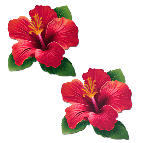 Tropical Vibrant Red Hawaiian Hibiscus Botanical Flower Breast Pasties