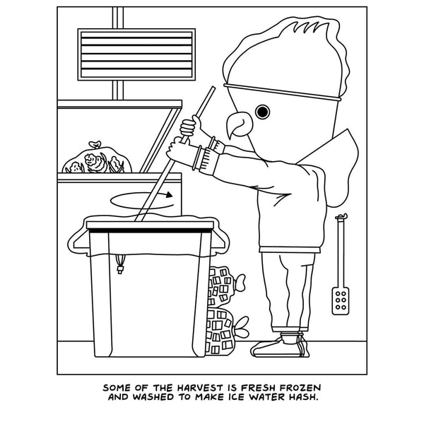 Visit to the Canabis Farm Colouring Book